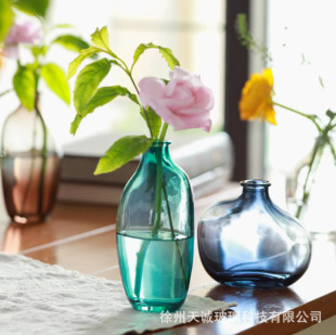 Nordic Style Fresh Light Luxury Glass Small Vase Home Decoration Decoration Decoration Vintage Flower Glass Bottle Simple Flower Flower Set