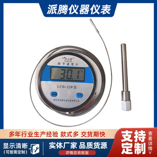 Electronic Digital Thermometer Thermometer Industrial High-precision High Temperature DTM-481 Thermocouple with Probe Water Temperature Measurement