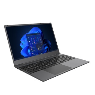 Новый 14-дюймовый ноутбук N95/N5095/N100 бизнес офисная игра Laptop оптом