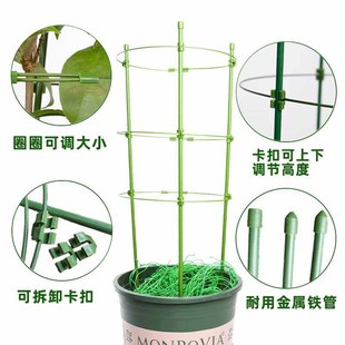 Flower Stand Climbing Vine Stand Flower Pot Horticultural Pillar Rose Clematis Ball Orchid Green Rose Plant Anti-fall Climbing Support Rod