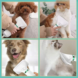 Pet Hair Blowing and Hair-pulling Artifact Dog Quick-drying One-piece Fluffy Hair Dryer Comber Cat Bathing and Blow-drying