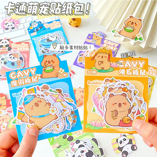 Cartoon Card Pibala Sticker Ins High Color Value Sticker Pack Student Diary Hand Account Decoration Material Water Cup Sticker