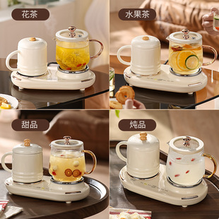 Double Cup Health Pot Living Room Tea Table Multifunctional Boiling Teapot Desk Automatic Boiling Water Thermostatic Heat Preservation Kettle