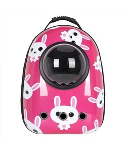 Wholesale cat space capsule pet cat leisure backpack pet bag portable cute cat out backpack
