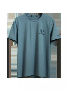 100 Cotton Double-Sided Silk Breathable Short-Sleeved Hot Drilling T-Shirt Men's Casual All-Match T-Shirt