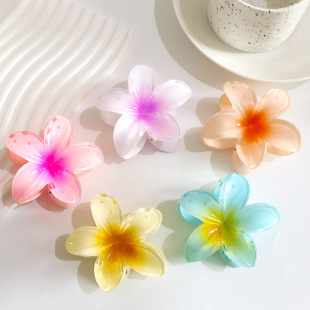 Cross-border simulation Bauhinia flower candy color clip transparent egg flower hairpin bath hair grip plate hairpin hair accessories