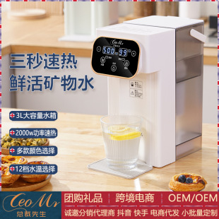 Cross-border Filter Water Dispenser Convenient Instant Water Dispenser Small Quick Heat Kettle Tea and Milk Direct Drinking Machine