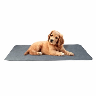 Amazon polar fleece waterproof non-slip pet mat anti-fouling easy cleaning placemat drop plastic training mat factory direct sale