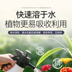 Aishangke Potassium Dihydrogen Phosphate Plant Flower Promotion Excellent Fruit Horticultural Fertilizer Universal Potted Plant Green Plant Flower Pollen