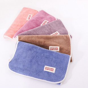 Wholesale coral fleece towel unisex face towel home hairdressing wipe headscarf cleaning edge multi-color towel
