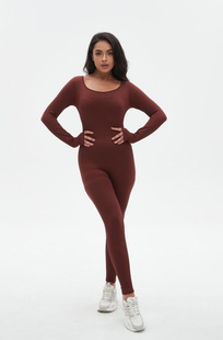Amazon Seamless High Elastic Long Sleeve Yoga Suit European and American Sports Yoga Foreign Trade Wearing Suit