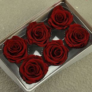 Magic flower eternal flower Grade B 5-6 rose flower material unicorn dried flower wholesale glass cover diy rose bear material