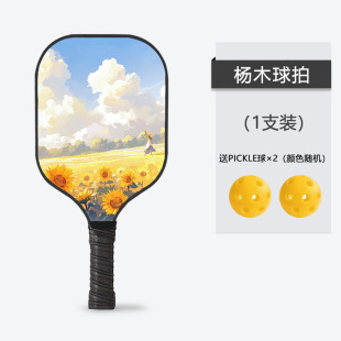pickleball Pick Ball Carbon Fiber Fiberglass Wood suit Pick Ball Professional logo Proofing