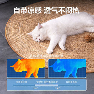 Cattail Cat Scratching Board Large Cat Toy Wear-resistant and Scratch-resistant Cat Nest Integrated Four Seasons Kennel Rattan Cat Sleeping Pad
