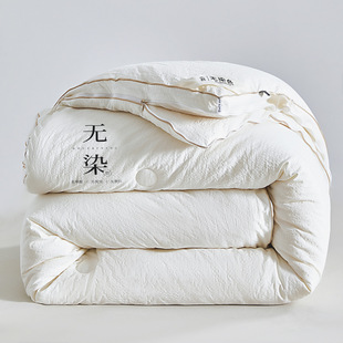 Class A Quilt Winter Quilt Zipper Two-in-One Thickened Soybean Fiber Spring and Autumn Student Dormitory Quilt Core