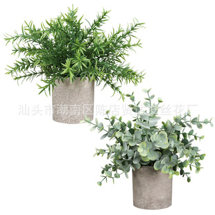 Amazon Hot-selling Plastic Frosted Potted Plant 3-piece Home Decorations Simulation Green Plant Desktop Guanyinlian Set