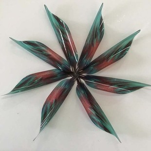 Dikute COTO reverse spiral arrow feather roll feather DIY spiral feather recurve bow competitive bow and arrow shooting quasi spiral feather