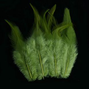 Factory supply color 4-6 white pointed feather feather 8-15cm garment accessories crafts decoration diy handmade