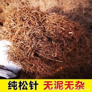 Decomposed Pure Pine Needle Humic Pine Needle Soil Universal Nutrient Soil Humus Leaved Soil Soilless Pure Pine Needle Clivia Acid Soil