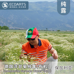 Yaqi German chamomile pure Dew Bulgaria imported organic raw materials flower distillation extraction flower water pure Dew