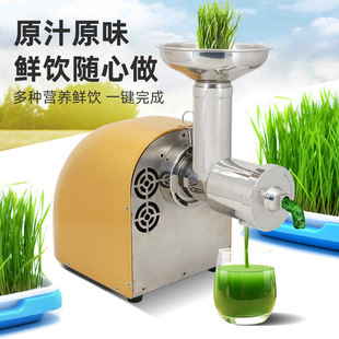 Cross-border explosives a generation of 304 stainless steel commercial household juicer juicer juicer