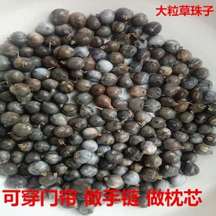 Grass Bead Seeds Can Be Used to Make Bodhi Seed Grass Bodhi Bracelets, Grass Bead Door Curtains, Courtyard Fields, Spring, Summer and Autumn