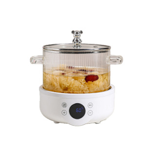Multifunctional glass electric cooking pot transparent glass health pot tea maker household glass pot high temperature resistant one-piece hair generation