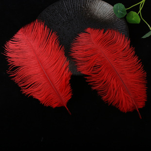 Factory wholesale 20-25cm color ostrich feather net red wall decoration ostrich feather wedding decoration feather