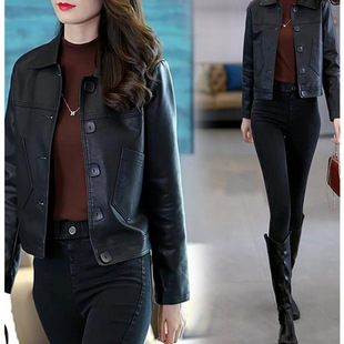 Stylish Age-reducing New Haining Autumn and Winter Leather Jacket Spring and Autumn Short Slim-fit Spring and Autumn Leather Coat Jacket