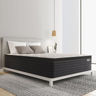 Double-layer spring natural latex mattress Simmons coconut palm miniature independent bag spring soft and hard dual-purpose factory customized