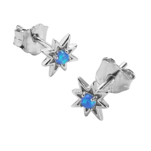 Silver Plated Bamang Star Aobao Earrings Ins Niche Design Light Luxury High-end Fashionable Hip-hop Distinctive Earrings for Men and Women