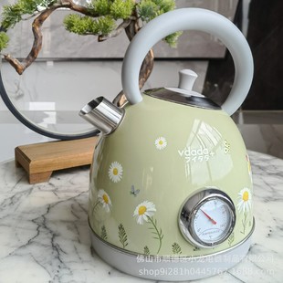 New color painted with temperature display electric kettle electric tea boil kettle 304 stainless steel household electric kettle