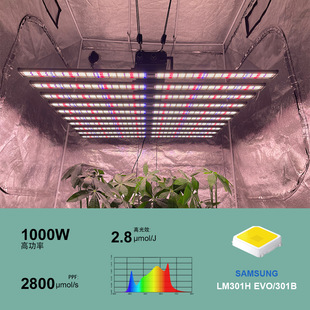 Indoor full spectrum led grow light plant growth fill light octopus plant light light manufacturers