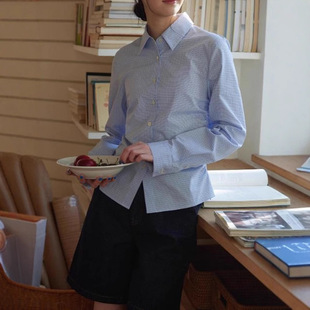 2025 wrinkled waist small blue long sleeve shirt women's spring and autumn temperament high-end texture top new