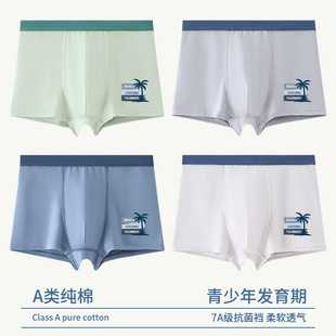 Children's Underwear Boys' Adolescent Developmental Junior High School Students' Cotton Boxers Medium and Big Boys All Cotton Boxers