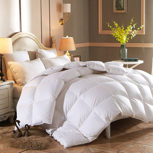 Hilton & Resorts Hotel Down Quilt 95 White Goose Down Quilt Spring Autumn Winter Core Quilt Two in One