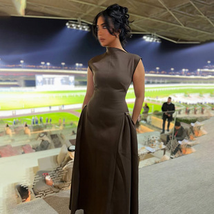 European and American Elegant Individuality Solid Color Flying Sleeve Long Dress 2025 Summer New Real Shot Half-high Collar dress Dress