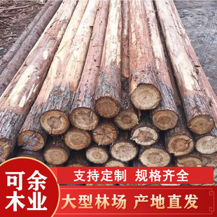 Wholesale Custom-Made Piling Wood Factory Direct Sales Log Piling Wood Construction Site River Embankment Fir Pile Slope Protection and Reclamation Wood Pile