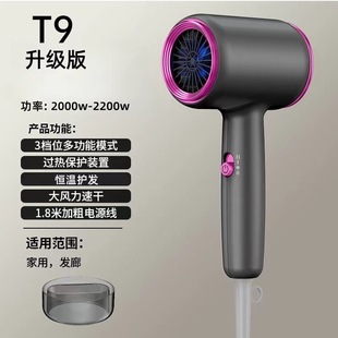 Hair Dryer Hair Salon Special High Power Low Noise Blue Light Negative Ion Household Hair Care Hair Dryer Mute No Hair Injury
