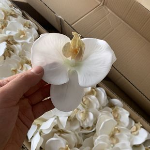 Фабрика прямо в наличии моделирование фаленопсиса Цветочная голова DIY обувь аксессуары для одежды украшение шляпы с небольшим размером
