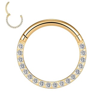 Hot Sale European and American Style 316L Stainless Steel Nose Ring with Diamond Nose Ring Seamless Ring Multifunctional Ring Earrings Human Body Puncture