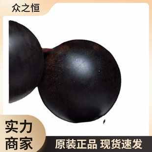 Certified Vietnamese Nha Trang Agarwood Bracelet, Old Material Black Oil Agarwood Bracelet with Buddhist Beads for Men and Women