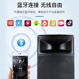 SAST ST-1509 outdoor trolley Speaker 15-inch high-power Bluetooth square dance audio
