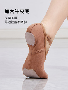 New style dance shoes women's soft-soled ballet four-sided elastic cloth adult classical dance practice cat claw shoes cross-border wholesale