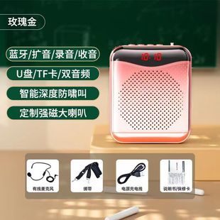 Factory Direct Supply Bee Loudspeaker Teachers Special Headset Microphone Class Tour Guide Horn Shout Phone