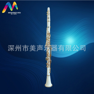Plastic clarinet beginner black tube student practice musical instrument G tone 20 key clarinet source manufacturer