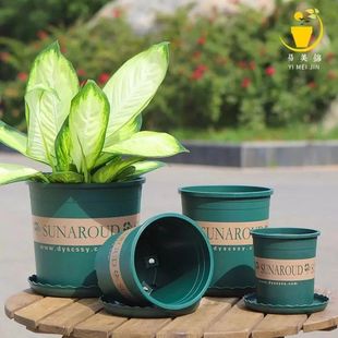 New Gallon Flower Pot Thickened Plastic Green Rose Breathable Fleshy Pot Balcony Living Room Rose Fruit Tree Root Control Pot Large Size