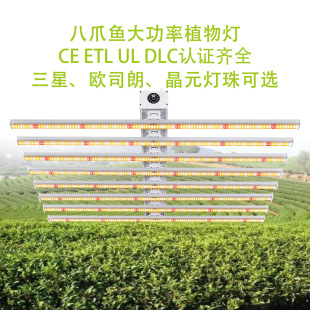 Cross Border Full Spectrum Plant Light Octopus Dimmable Smart 800 Watt LED Plant Grow Light growlight