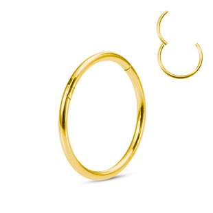 Factory direct supply stainless steel closed ring human body piercing jewelry titanium steel coil multi-use hinge round earrings nose ring