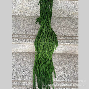 Eternal hanging rice/lover tears hanging flower real Flower Home flower arrangement decoration wall DIY material soft decoration set